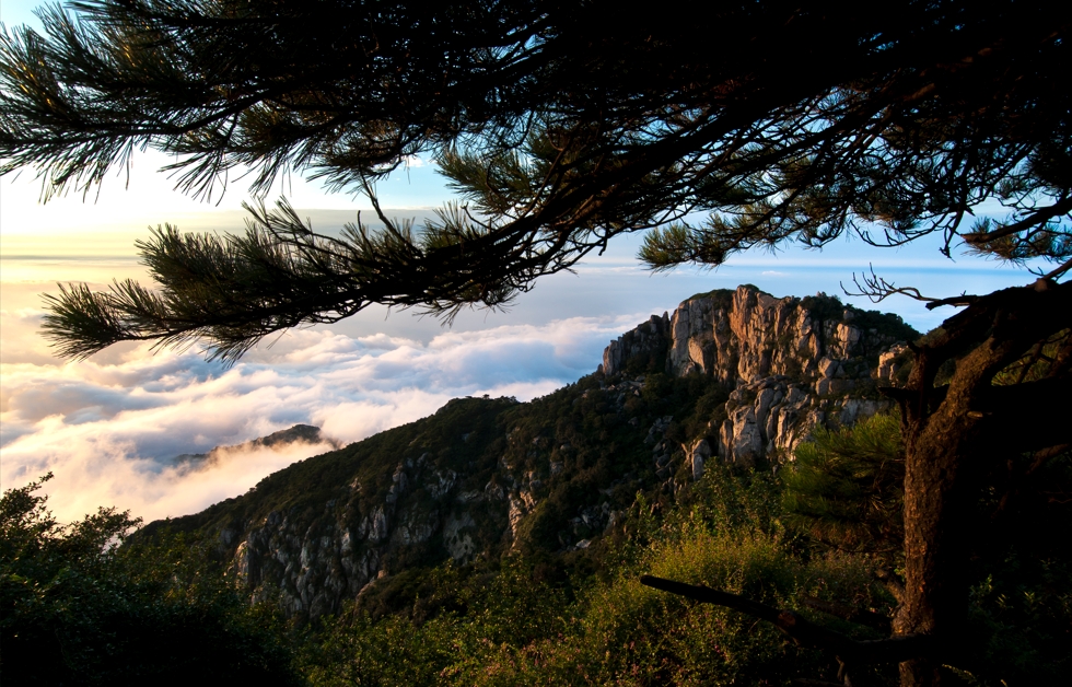 【世界文化与自然双重遗产】泰山