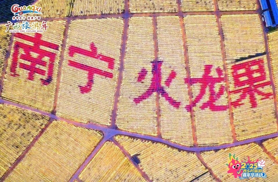 广西旅游协会组织会员单位共赴2025广西乡村旅游
