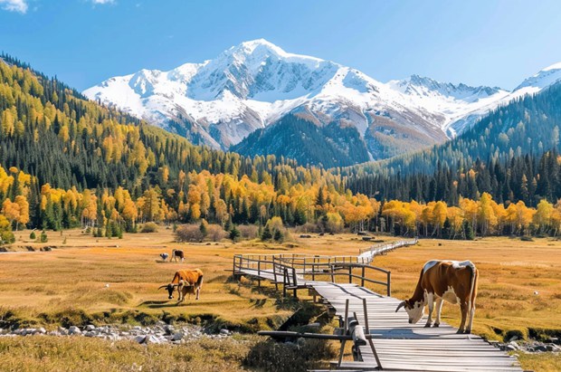 Announcement of Collection for Research Papers on "Innovation in Mountain Tourism & Local Community Engagement"