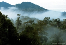 中国驻马来西亚大使馆发布暑期安全提醒