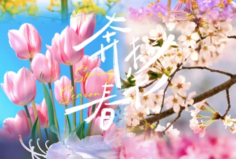 【玩转山地】贵州私藏赏花地图，承包你的春日浪漫