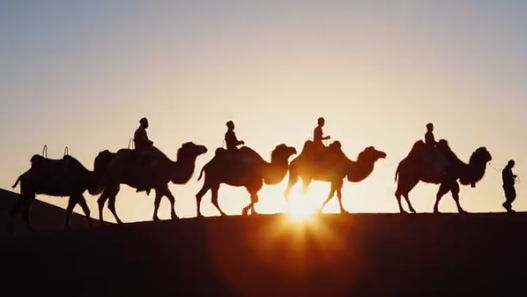 同程旅行酒店业务深度接入微信搜一搜