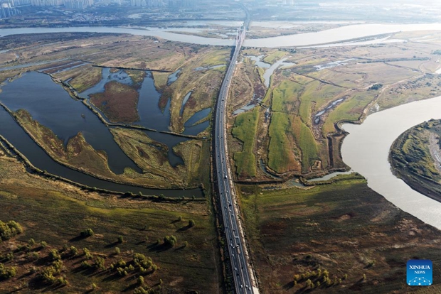 Autumn scenery of wetland parks in Harbin