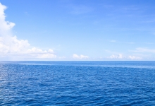 海商法修订草案: 拟加大对海上旅客权益保护力度