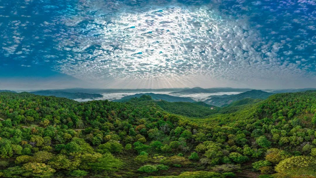 “避寒游”预订升温 云南建水等小城走热