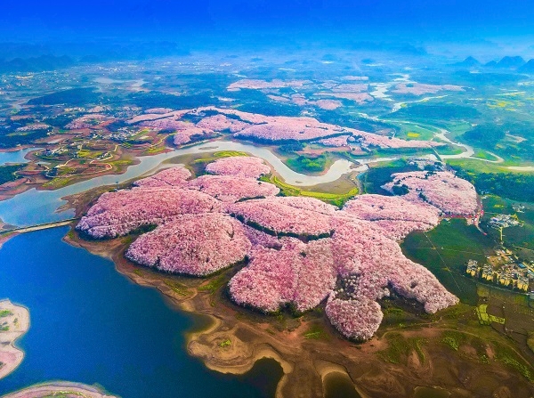 央企专业化整合项目集中签约：中国旅游集团牵头组建央企邮轮运营平台公司