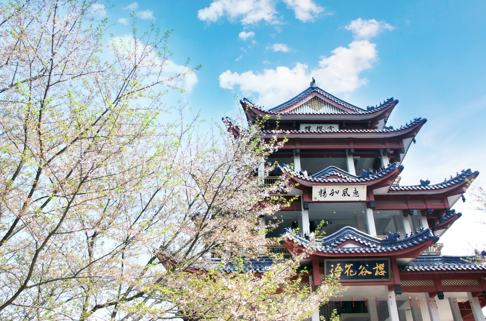 “反内卷”的风吹起来了 同程旅行推出年轻人“周五出逃计划”