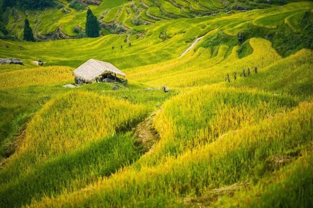 September, a trip to Autumn Harvest