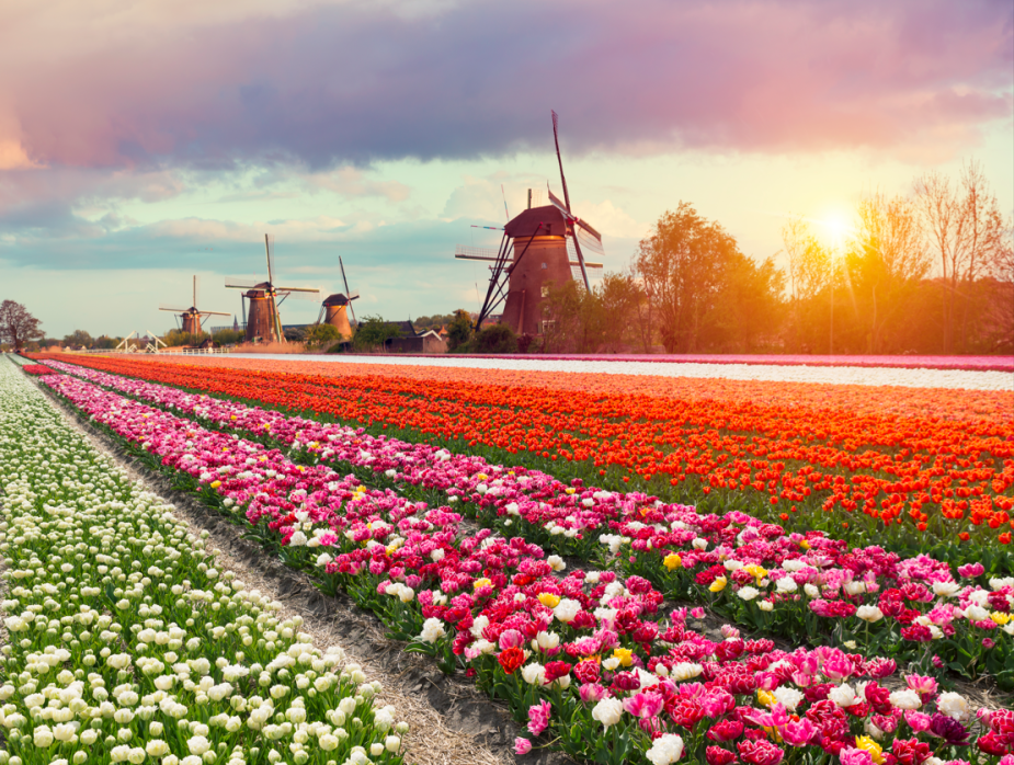 这里是全球赏春天花板，一起去看上帝打翻的调色板！