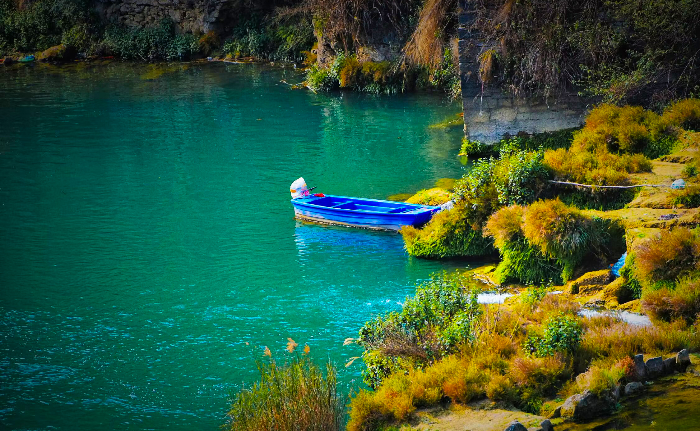 狮子河记：那年惊鸿，岁岁念念