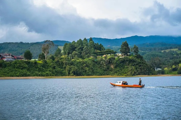 “2025中国国际旅游交易会”国际山地旅游联盟90平米的展台设计搭建采购比选公告